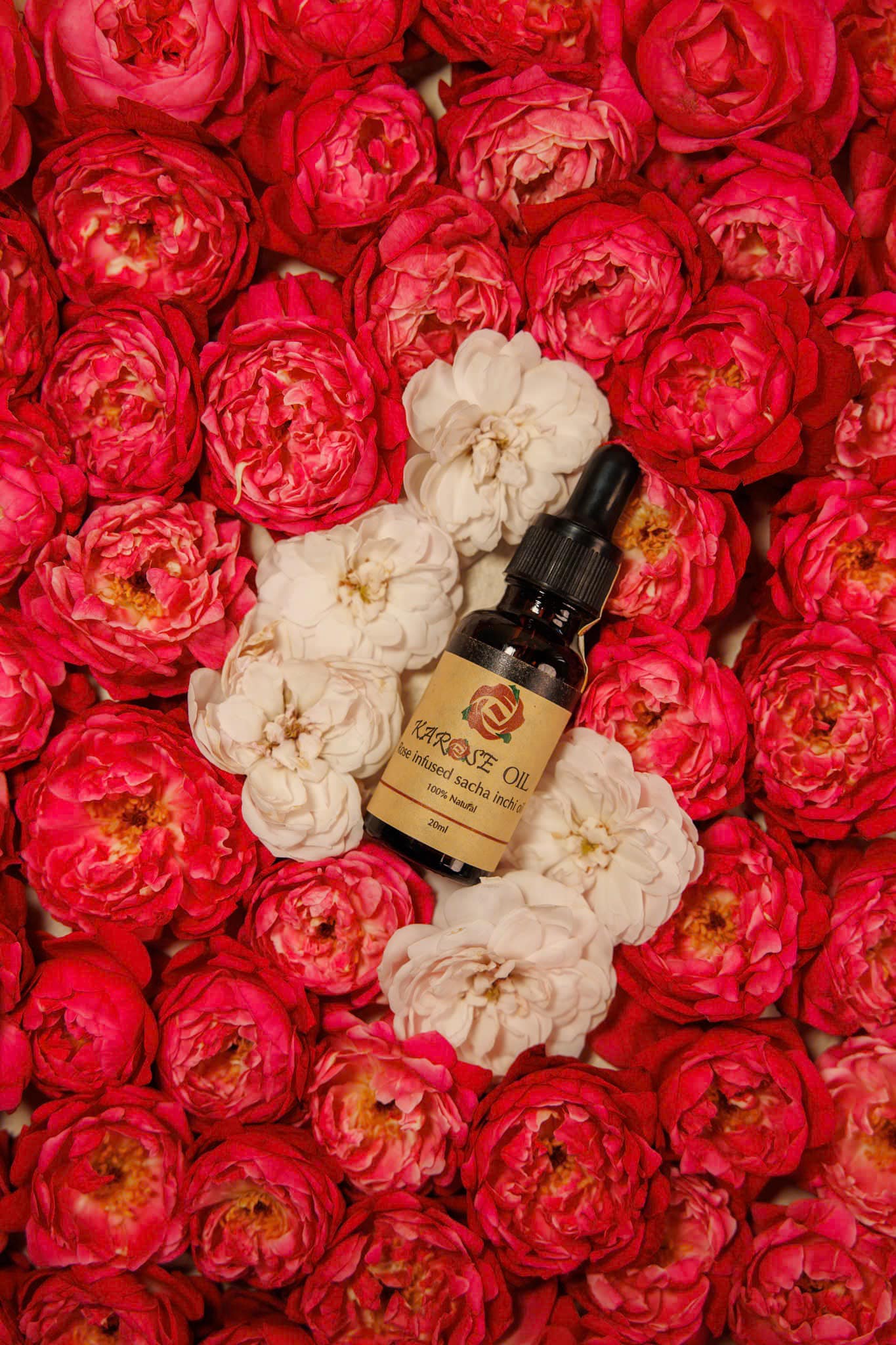 ORGANICS USDA Certified Rose Oil (20 ml) from Vietnam unique ancient roses 100% Organic Roses Oil infused with Sacha Inchi Seed Oil 100% Natural